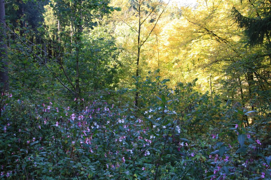 Fewo Purper Frauenberg Buitenkant foto